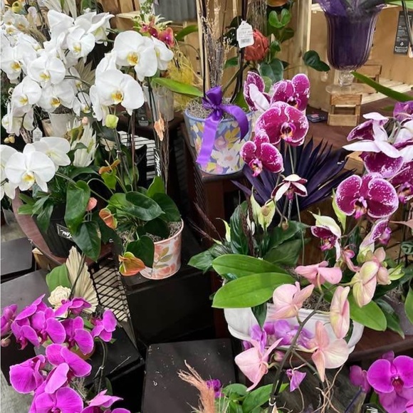 Lululemon Align HR Pants . Size: 12 - Picture 5 of 5